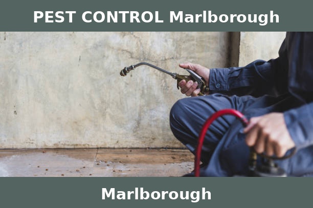PEST CONTROL Marlborough